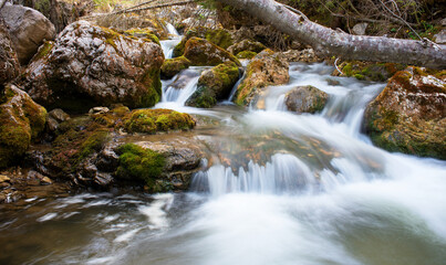 Fototapeta na wymiar splendide lunghe esposizioni dell'acqua in questo torrente di montagna con sassi coperti di bel muschio verde, torrente nelle dolomiti