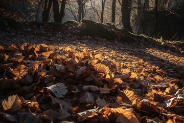 Obraz premium a pile of fallen leaves, with the sunlight shining through them, created with generative ai