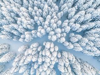 Uludag Sarıalan snow view and ski slope