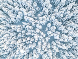 Uludag Sarıalan snow view and ski slope