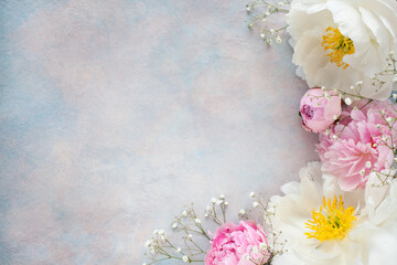 White and pink peonies, gypsophila flowers on a colorful decorative background, copy space, congratulation text