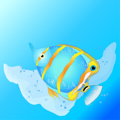 Naklejka premium Copperband butterflyfish, beaked coralfish, fish