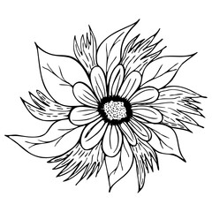 flower in black and white for decor single color element