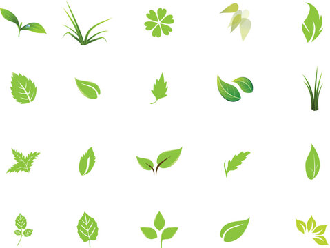 set of green leaves icons, leaf, nature, plant, vector, green, icon, tree, design, illustration, eco, set, pattern, spring, ecology, floral, natural, symbol, branch, leaves, summer, environment