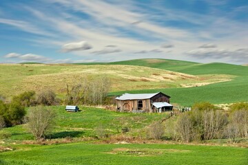 Fototapeta na wymiar Old barn stands in a green field.
