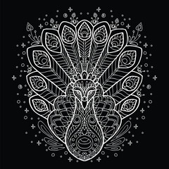 Vector coloring Peacock white on black background