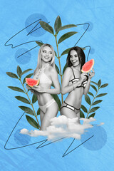 Vertical collage portrait of two black white gamma girls wear biking hold watermelon slice clouds big plane leaves isolated on paper blue background
