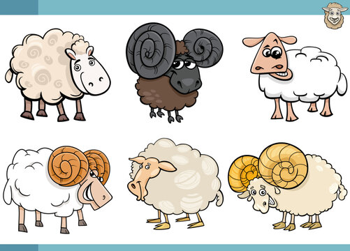 cartoon sheep farm animals comic characters set