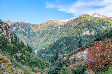 Fototapeta na wymiar Natural life and autumn landscapes in Rize, Artvin, Savsat highlands