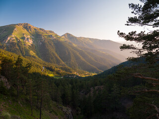 High mountain forests and plateaus. Pine forests and mountains at sunset