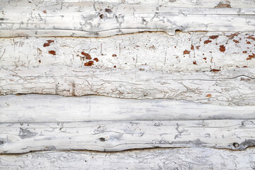 An old damaged and affected by woodworms wooden wall painted in white as an abstract background