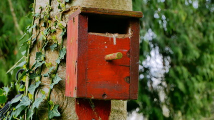 An Old birdhouse on a tree bark with vine surrounding.