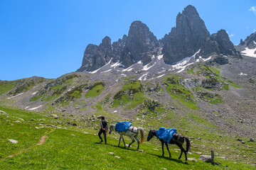 Natural life and autumn landscapes in Rize, Artvin, Savsat highlands