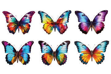 Obraz na płótnie Canvas colorful butterflies set isolated Vector