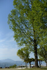 2023_戸隠神社・信濃善光寺