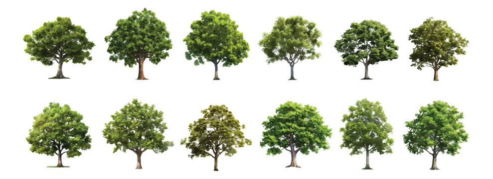 Realistic Trees Images – Browse 689,920 Stock Photos, Vectors, and ...