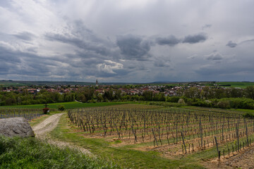 Fototapeta premium Gau-Odernheim in Rheinhessen mit Donnersberg