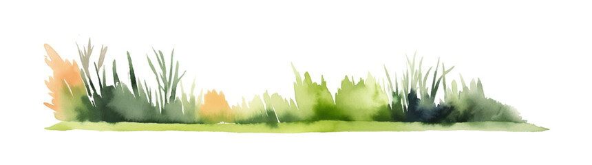 Watercolor line of green grass., isolated on white background. Horizontal bar element, divider, separator, footer for your design. Vector illustration.