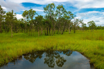 Dramatic scenery of the yellow Water Billabong, Kakadu National Park, Northern Territory, Australia