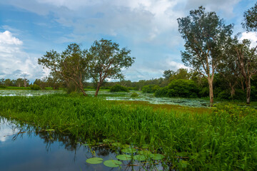 Fototapeta na wymiar Dramatic scenery of the yellow Water Billabong, Kakadu National Park, Northern Territory, Australia