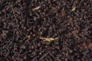 The traditional process of drying cloves in the sun on the ground. Tropical plants, producing and export scented herbs and aromatic oil in Indonesia. Dark brown dry cloves. Commodity from Indonesia.