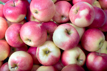 Apples. Pile of fresh apples covered with water drops.  Apples from Okanagan Valley. Kelowna, British Coluimbia.