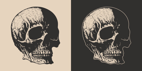 Set of vintage retro scary skull. Can be used like emblem, logo, badge, label. mark, poster or print. Monochrome Graphic Art. Vector. Hand drawn element in engraving