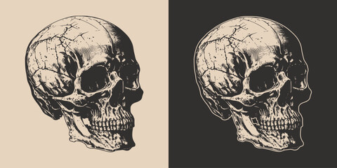 Set of vintage retro scary skull. Can be used like emblem, logo, badge, label. mark, poster or print. Monochrome Graphic Art. Vector. Hand drawn element in engraving