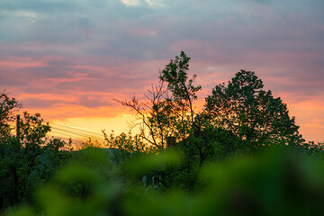 Beautiful sunset through green branches...landscape background...nature in many colors...