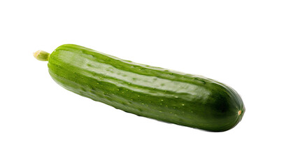 an isolated single cucumber, garden-themed, photorealistic illustration on a transparent background cutout in PNG. Generative AI