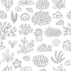 Vector black and white seamless pattern with seaweeds. Under the sea line repeat background or coloring page with corals, actinia, seashells, pearl. Ocean life or water weeds digital paper.