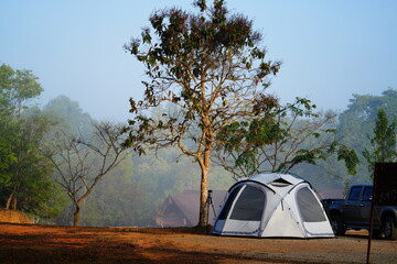 White dome tent in tropical green forest. Camping site at Khao Yai National Park, Nakhon Ratchasima province, Thailand.