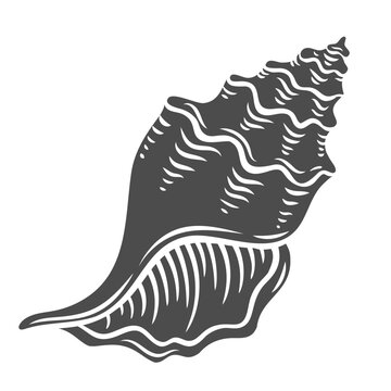 recommend clip art: Conch shell glyph icon vector illustration. Stamp of sea snail with seashell, clam shell silhouette with spiral shape of wildlife from tropical ocean bottom, seashore sand beach and coral reef