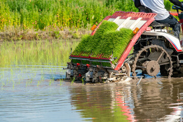 Obraz premium 田上機での田植え作業イメージ