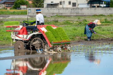 田上機での田植え作業イメージ