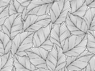 Seamless floral abstract background with  leaves drawn by thin lines. White  background with black leaves, monochrome.Vector floral  pattern
