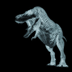 tyrannosaurus rex is angry and looking for food in white background