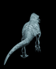 tyrannosaurus rex is walking like a king in white background top rear view