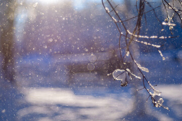 Magical winter blurred bokeh light background with snow, snow flakes and soft bokeh beautiful lights, cold backdrop for Christmas. Abstract winter snow Christmas and New Year holidays background