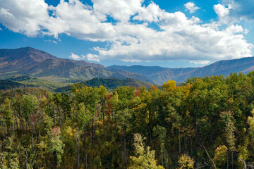 Obraz premium View of smoky mountain landscape during fall overlooking a valley in east Tennessee. Trees have vibrant fall colors under bright blue sky with puffy white clouds.