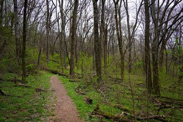 Dirt trail in the forest in Tennessee. Early spring setting with undergrowth turning green while trees remain dormant. Sky is cloudy and overcast.