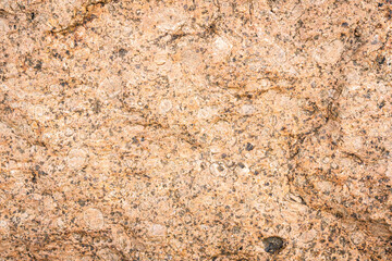 Detail of the marble wall texture