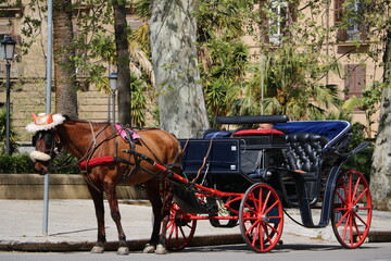Fototapeta na wymiar Historical horse-drawn carriage, Italy