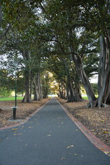 Park