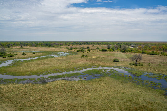 Ein kleiner Fluss schl&auml;ngelt sich durch das gr&uuml;ne Okavango Delta in Botswana, Afrika