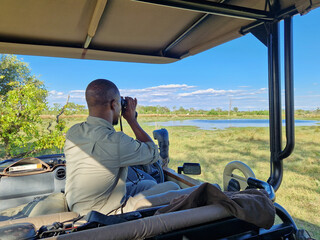 Ein Guide am Steuer eines Safari – Jeep beobachtet durch sein Fernglas die Savanne von Botswana...