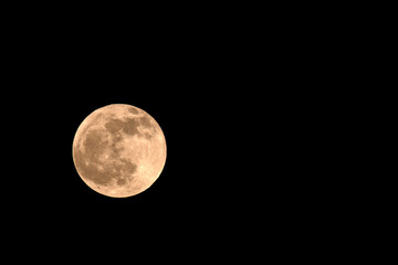 Flower moon. Flower full moon in the night sky.