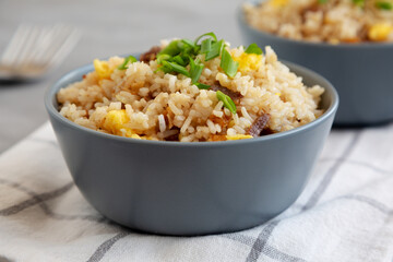 Homemade Fried Rice with Bacon and Egg in a Bowl, side view.