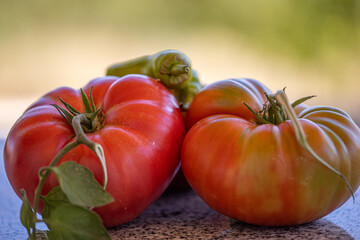 Natural organic new crop tomatoes