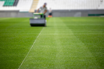 Fototapeta premium Green grass soccer field 